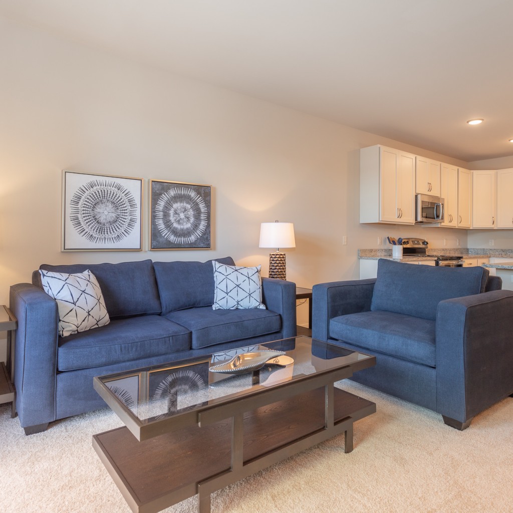 4 Living Room 11 1024x1024