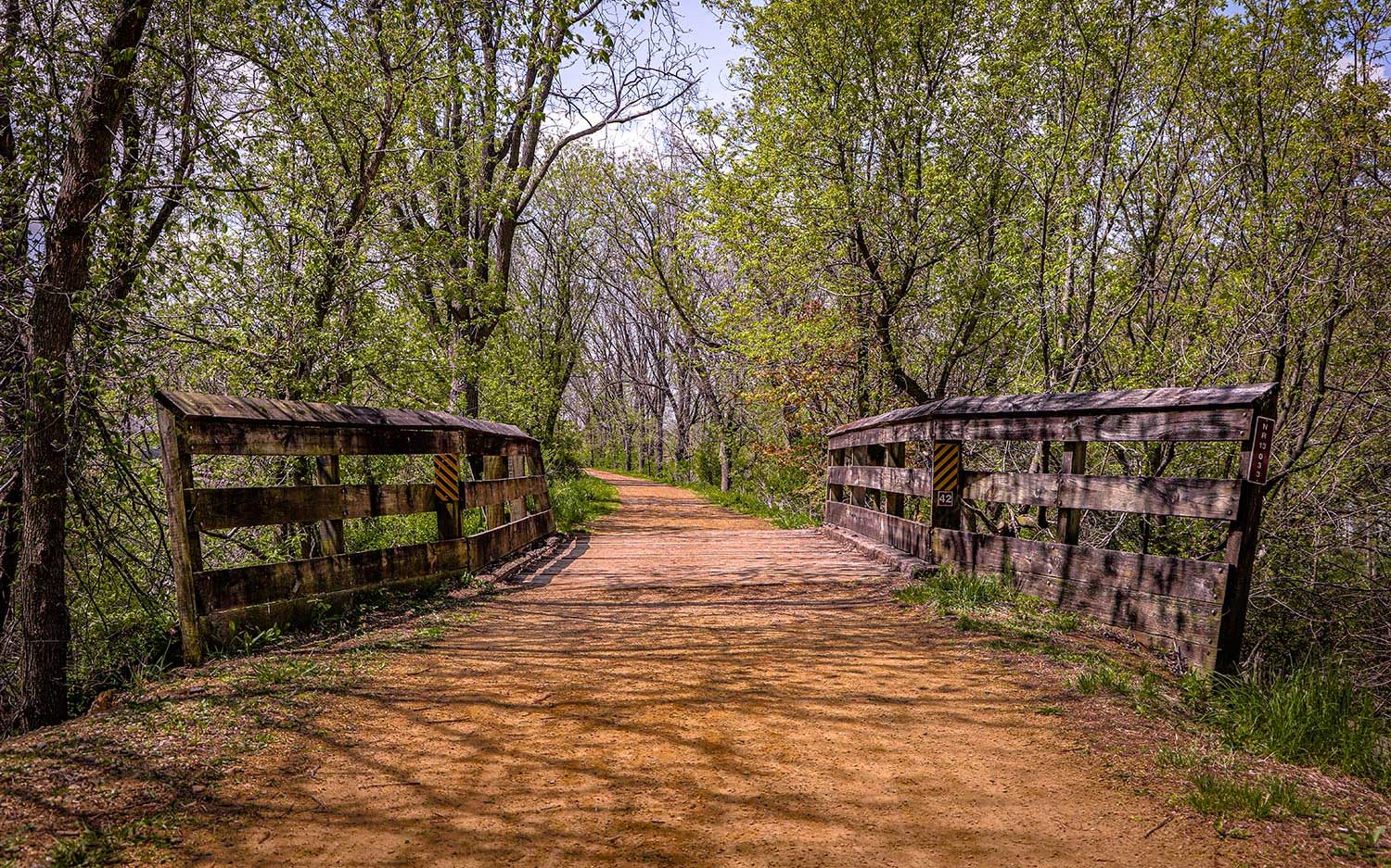 Photography Cover Photo